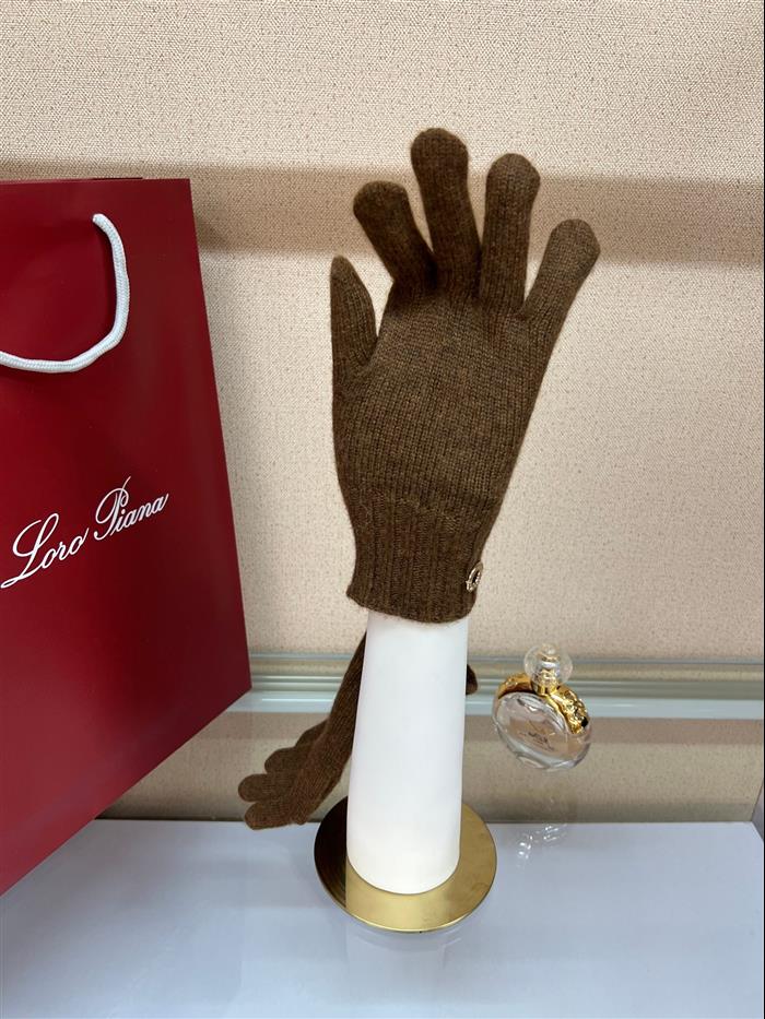 2026116112024510 100